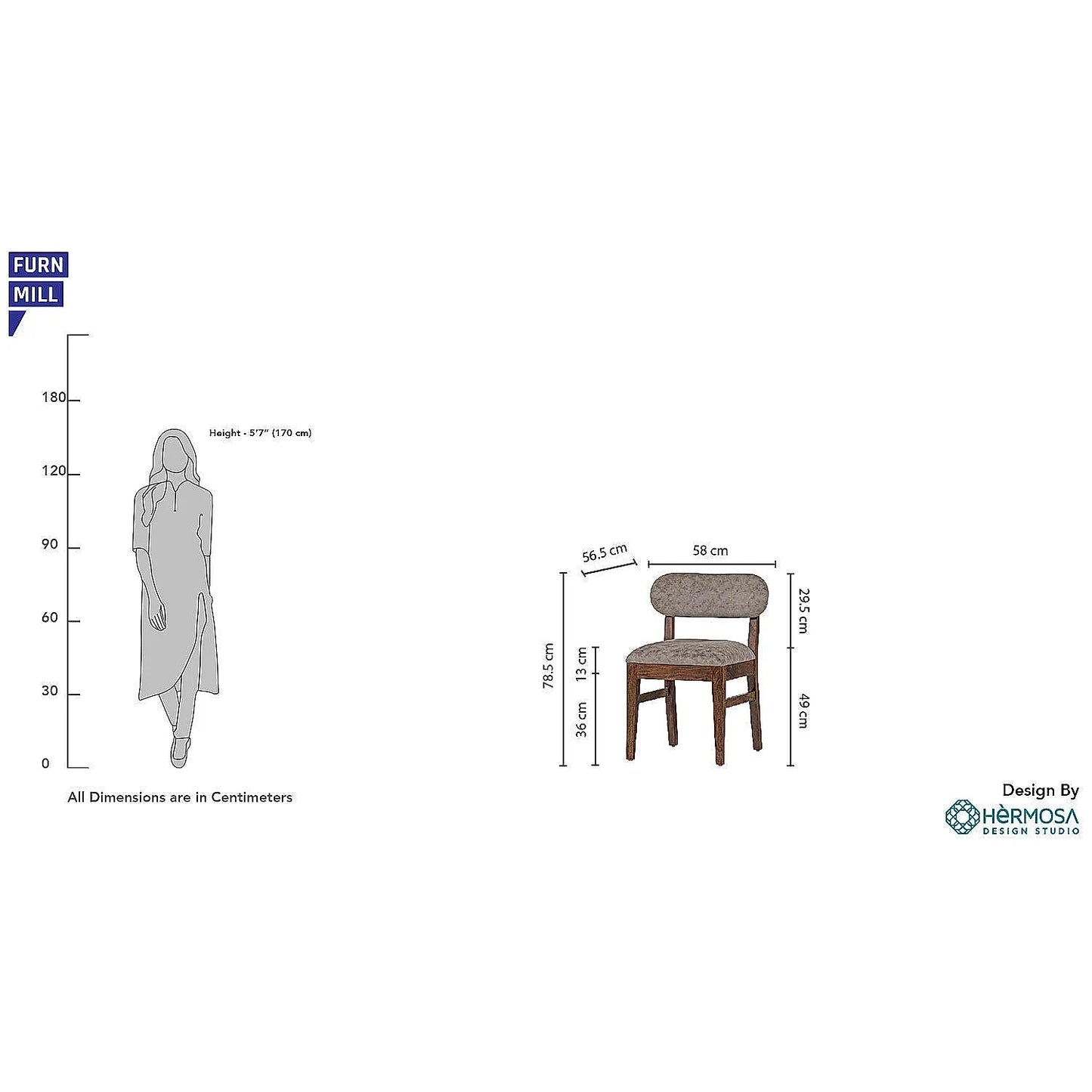Chicago wooden Dining Chair - Set of 2 - Walnut Finish