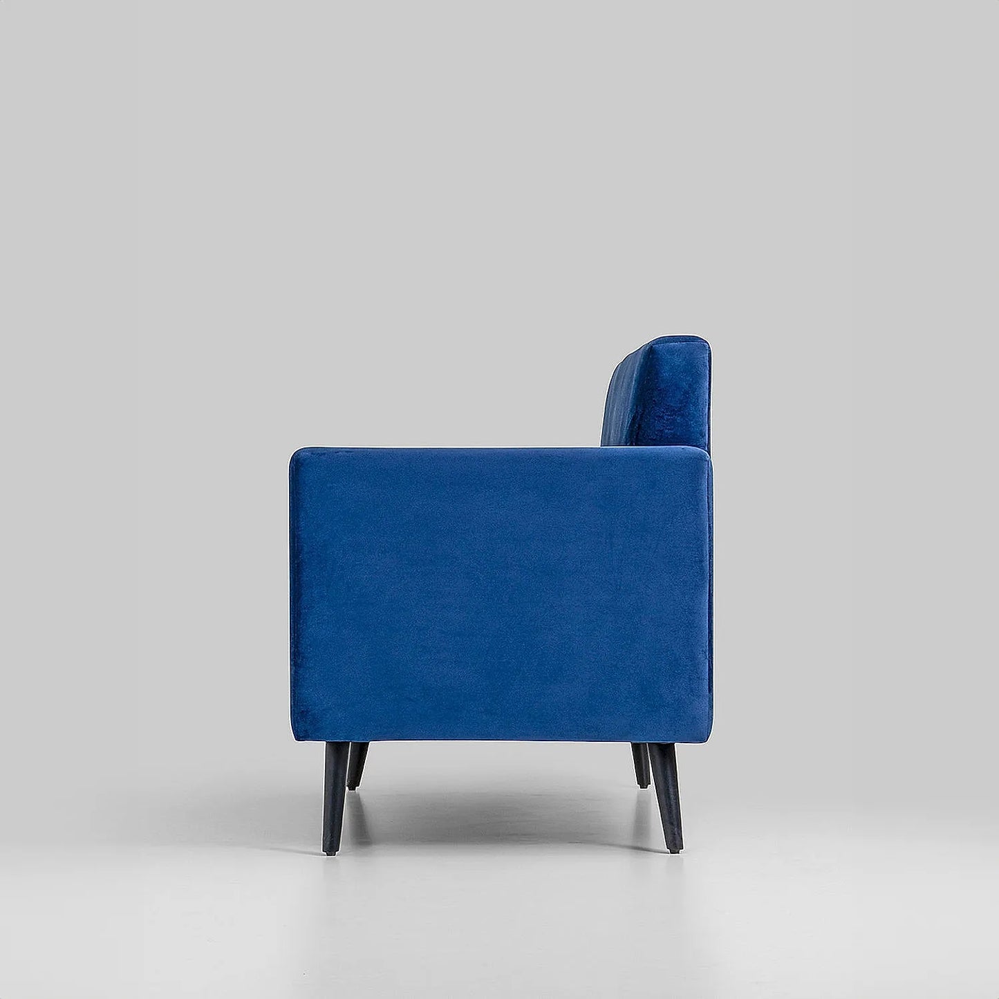 Cairo Wooden 2 Seater Sofa (Velvet, Blue)