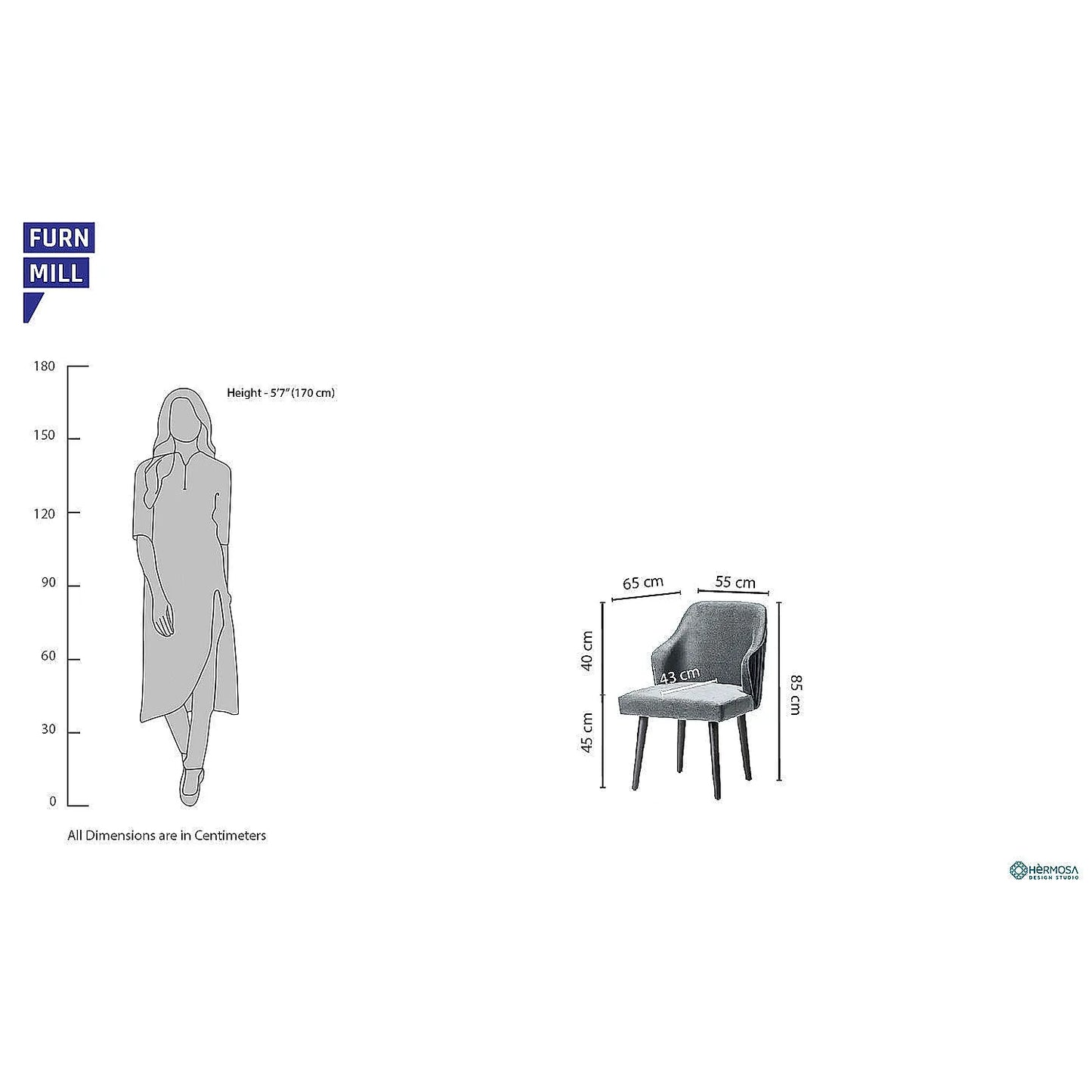 Hugo Wooden Accent Chair ( Grey Velvet Fabric, Ebony Finish )